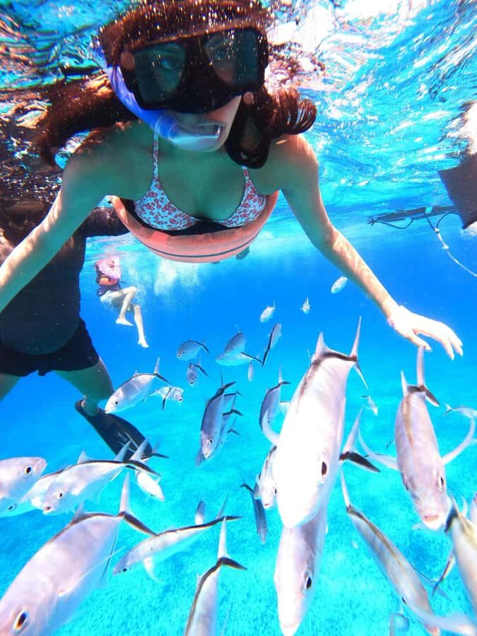 Cozumel: Palancar, Columbia and El Cielo Reefs Snorkel Tour - Boat time, group size, and the comfort reality