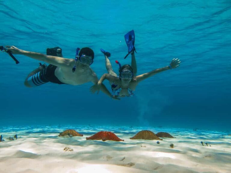 Cozumel: Palancar, Columbia and El Cielo Reefs Snorkel Tour - Palancar and Columbia reefs: where the color and sea life show up