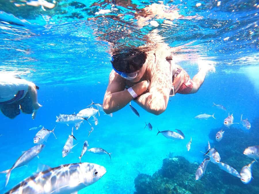 Cozumel: Palancar, Columbia and El Cielo Reefs Snorkel Tour - Price, value, and the marine fee add-on