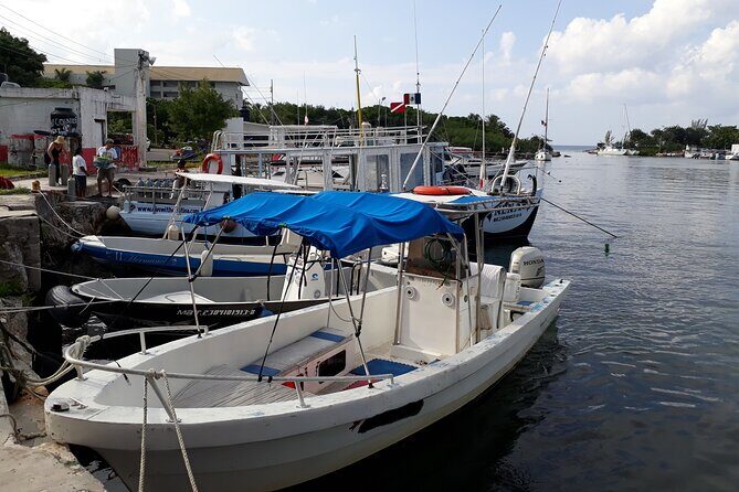 Cozumel Private 4-Hour Boat Tour to Passion Island - Reef and shipwreck snorkeling: what “around 100 feet” visibility means