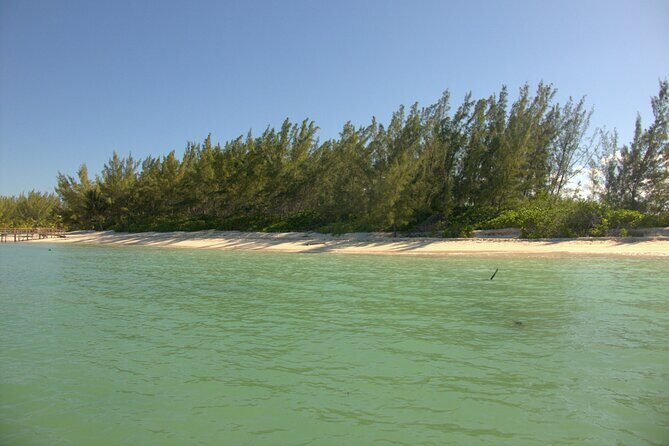 Cozumel Private 4-Hour Boat Tour to Passion Island - Who this private Passion Island tour suits best