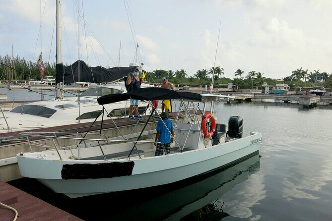 Cozumel Private 4-Hour Boat Tour to Passion Island - Snorkeling at the sunken ferry: shallow water, coral, and fish