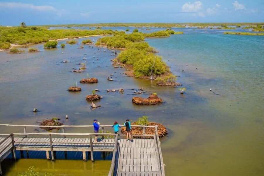 Cozumel: Private Buggy Tour to Punta Sur Park All Inclusive - Key things to know before you go