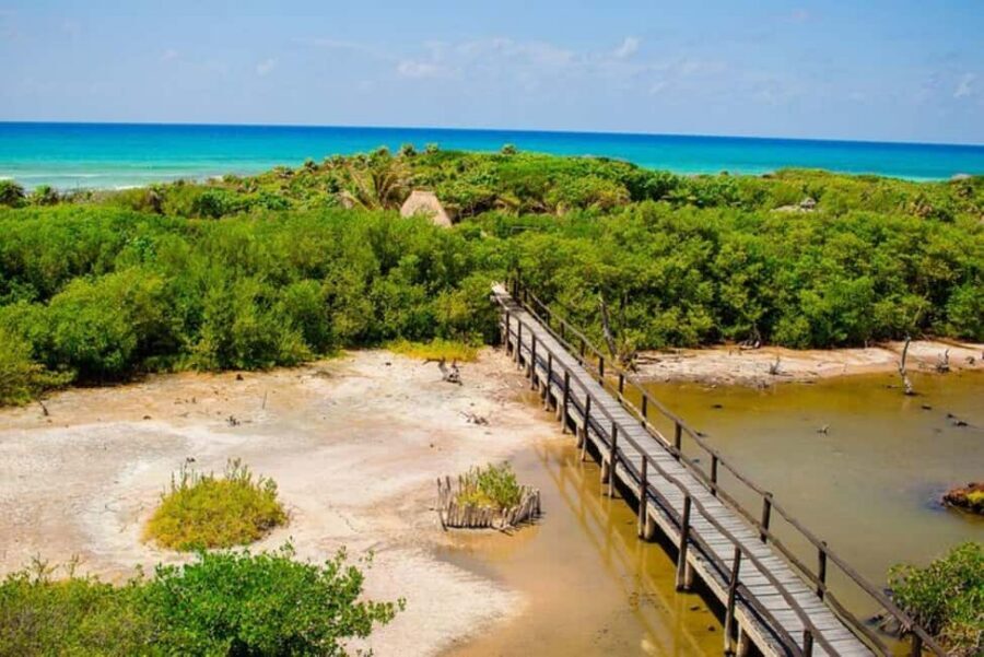 Cozumel: Private Buggy Tour to Punta Sur Park All Inclusive - Punta Sur Park by private buggy: the value of doing it your way