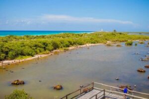 Cozumel: Private Buggy Tour to Punta Sur Park All Inclusive - El Mirador and Celarain Lighthouse: the “payoff” stops