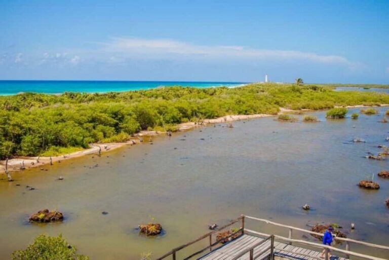 Cozumel: Private Buggy Tour to Punta Sur Park All Inclusive - El Mirador and Celarain Lighthouse: the “payoff” stops