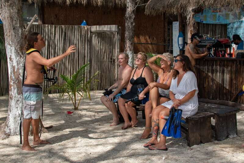 Cozumel Private Jeep Tour with Lunch and Snorkeling - Behind the Wheel: Jungle Roads, Flora-Fauna Lessons, and Wildlife Chances