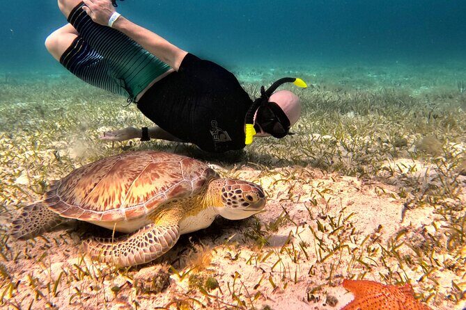 Cozumel Private Snorkeling and Charter Experience - Boat, crew, and what you get for one group price