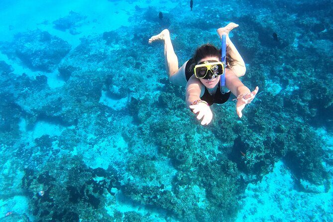Cozumel Private Snorkeling and Charter Experience - Choosing the right time: weather matters more than your schedule