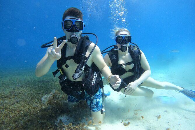 Cozumel Scuba Dive at Chankanaab - Balones of Chankanaab: A Signature Area on the Route