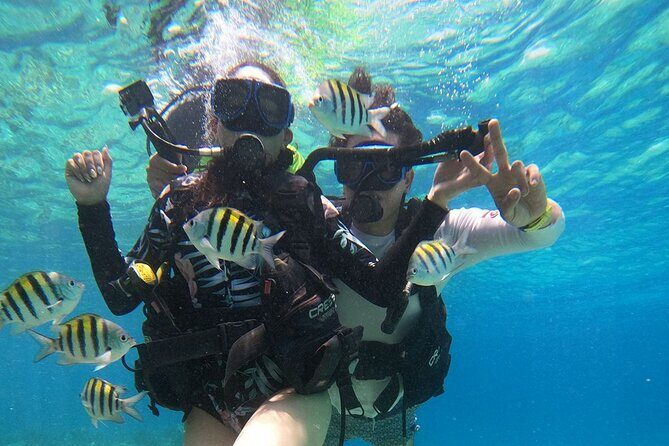 Cozumel Scuba Dive at Chankanaab - Price and Value: What $85 Really Buys You (and What Costs Extra)