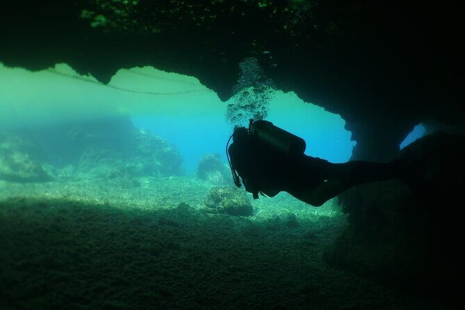 Cozumel Scuba Dive at Chankanaab - Practical Tips for a Smooth Session in Cozumel