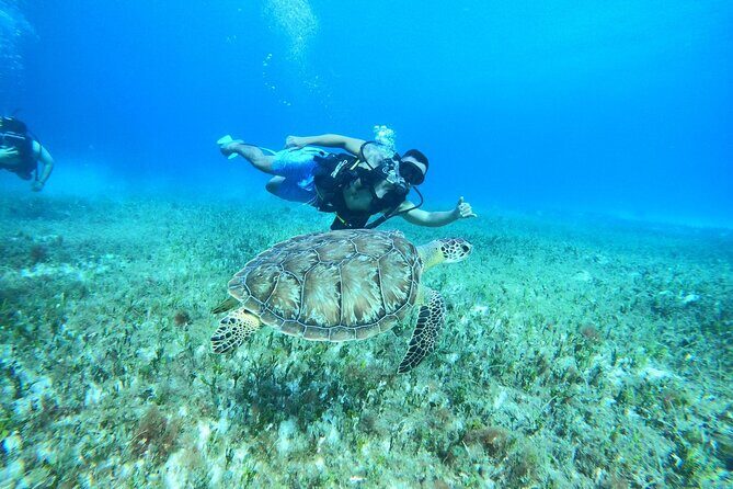 Cozumel Scuba Dive at Chankanaab - Who This One-Tank Intro Is Best For