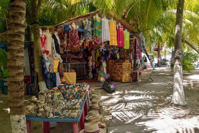 Cozumel Shore Excursion: 5-Hour Sightseeing Tour with Private Driver - San Gervasio Mayan ruins: the most important stop, plus optional guiding