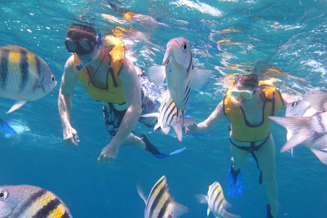 Cozumel Shore Excursion: Playa Uvas Private Beach Pass - The 30-Minute Snorkel: Best for Clear Water and First-Time Confidence
