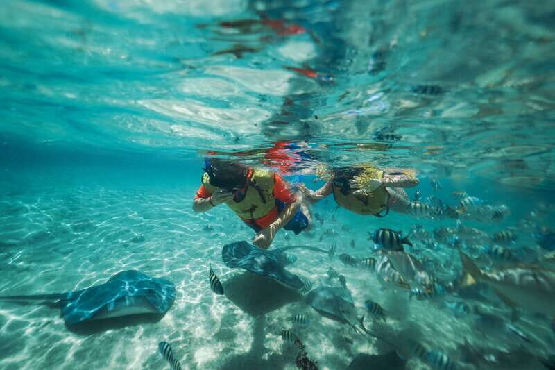 Cozumel: Snorkel and Swim with Stingrays - What’s included (and what you must bring) so you don’t get stuck