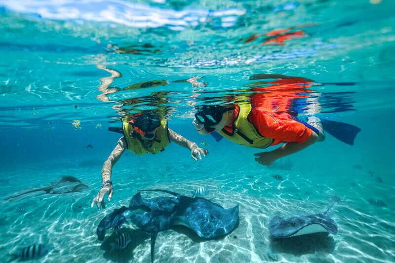Cozumel: Snorkel and Swim with Stingrays - The coral reef installation with 800 rescued corals: the conservation layer you’ll remember