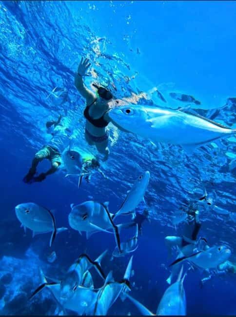 Cozumel: snorkeling on reefs + visit to "El Cielo" - Key points before you book