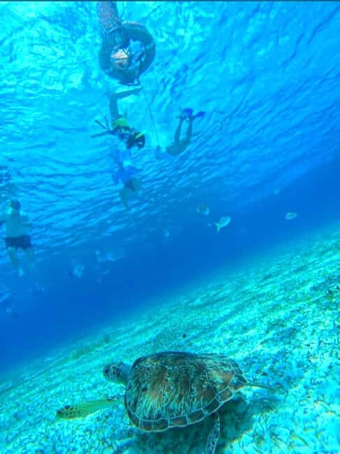 Cozumel: snorkeling on reefs + visit to "El Cielo" - Reef Snorkeling Plus El Cielo in a 4-Hour Window
