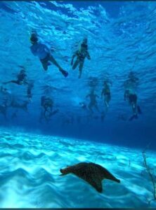 Cozumel: snorkeling on reefs + visit to "El Cielo" - Meeting at Muelle Fiscal: Module #6 and Your Peso Balance