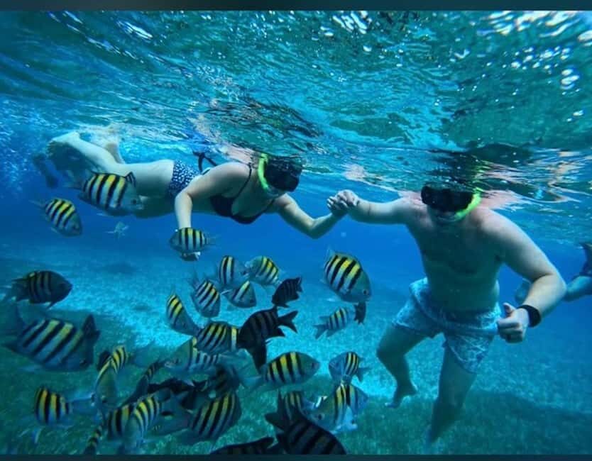Cozumel: snorkeling on reefs + visit to "El Cielo" - Palancar Reef: Guided Snorkeling With a Safety-First Start