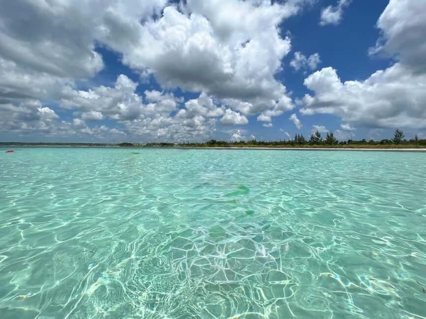 Cozumel: snorkeling on reefs + visit to "El Cielo" - Timing and Group Energy: When Flexibility Matters