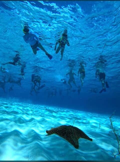 Cozumel: snorkeling on reefs + visit to "El Cielo" - Meeting at Muelle Fiscal: Module #6 and Your Peso Balance
