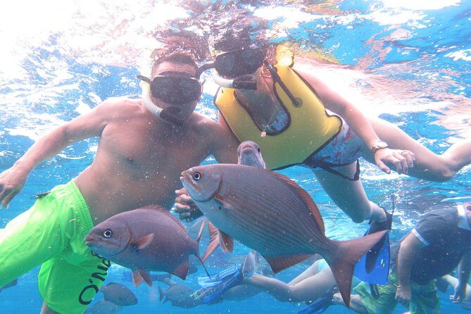 Cozumel Snorkeling Tour at Palancar & Colombia Reefs and El Cielo - Reef stop 2: Palancar Reef for sharks, lobsters, and moray eels