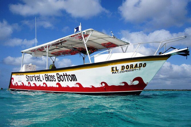 Cozumel Snorkeling Tour at Palancar & Colombia Reefs and El Cielo - Crew, group size, and the “no one gets left behind” feeling