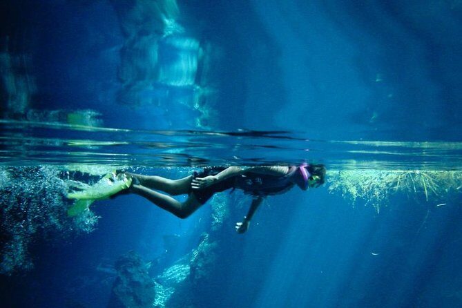 Cozumel Snorkeling Tour from Playa del Carmen - Transfers and Timing: Where the Day Can Either Flow or Drag