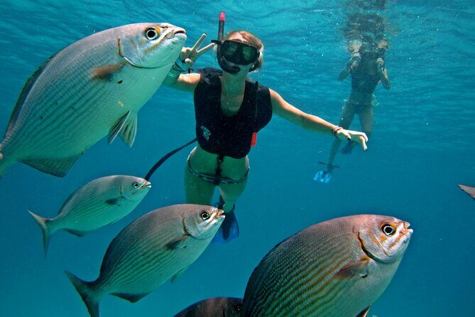 Cozumel Snorkeling Tour: Palancar, Columbia and El Cielo Reefs - Key Highlights You’ll Feel Right Away