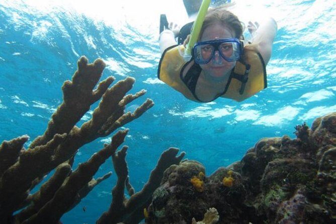 Cozumel Snorkeling Tour: Palancar, Columbia and El Cielo Reefs - Cozumel Snorkeling That Stays Fun for 4 Hours