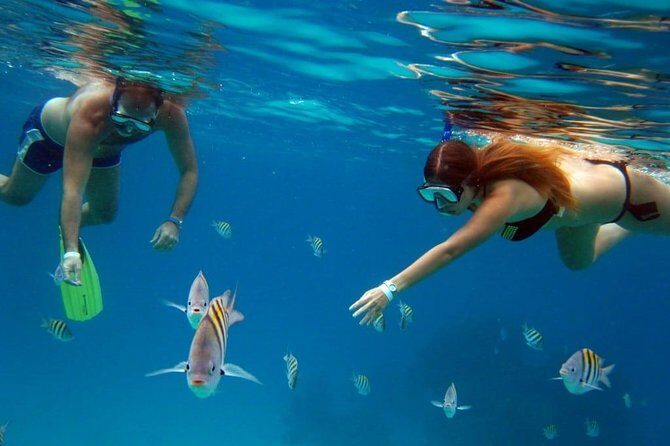 Cozumel Snorkeling Tour: Palancar, Columbia and El Cielo Reefs - More Reef Stops Than You’d Expect: A Full Day Route