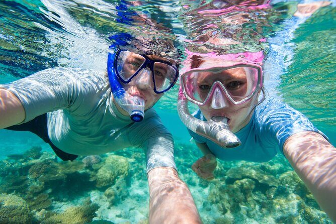 Cozumel Snorkeling Tour to Palancar Reef and El Cielo - Price and value: what $71.65 buys on this tour
