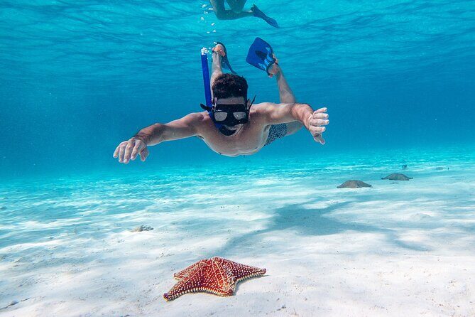 Cozumel Starfish and Tropical Reef Snorkeling by Powerboat with Lunch - El Cielo: Shallow Water, Starfish, and That First Look