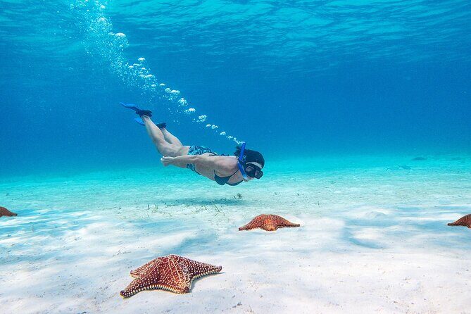 Cozumel Starfish and Tropical Reef Snorkeling by Powerboat with Lunch - Price and Value: What $139 Really Buys You