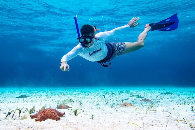 Cozumel Starfish and Tropical Reef Snorkeling by Powerboat with Lunch - Getting There From Cancun and Riviera Maya (Pickup Time Is the Trap)