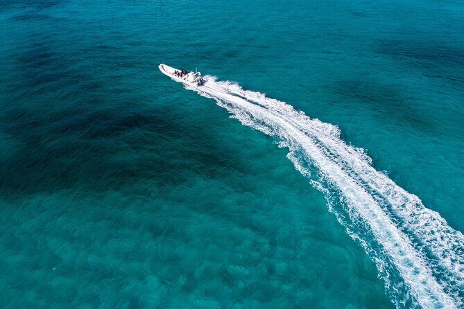 Cozumel Starfish and Tropical Reef Snorkeling by Powerboat with Lunch - Your Snorkeling Game Plan: Gear, Depth Options, and a Real Guide