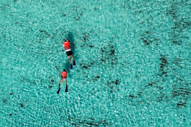 Cozumel: VIP Access Pass at KUZÁ Beach & Adventure Park - Your included water activity: choose snorkel, paddleboard, or kayak