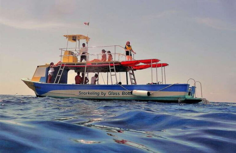 Cozumel: VIP Glass Bottom Boat & Snorkeling 3 Reefs Tour - Price and Logistics: What You Really Pay in Cozumel