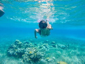 Cozumel: West Coast E-Bike and Snorkeling Tour - West Coast E-Bike Riding: fast, fun, and mostly low-stress