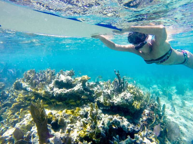 Cozumel: West Coast E-Bike and Snorkeling Tour - The Cenote Stop: underground river views and real nature talk