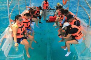 Crystal Clear Boat Tour in Los Cabos - Cabo’s Photo Stops: El Arco, Lovers Beach Views, and the Sea Lion Rock