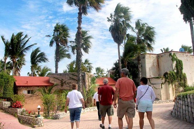 Cultural & Ecology, Nature & History of the hidden towns of Southern Baja! - Nature and ecology: hot springs, local plants, and what to notice