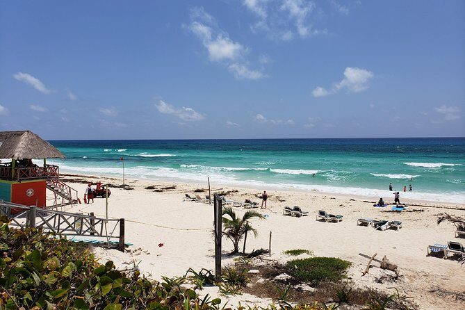 Customizable Private Buggy Tour in Cozumel with Lunch and Snorkel - Money Bar Beach Club: lunch, included drinks, and snorkeling that’s actually worth it