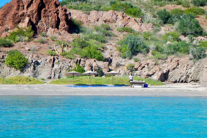 Danzante Island and Snorkel Tour from Villas del Palmar Hotel - Key highlights you’ll actually care about