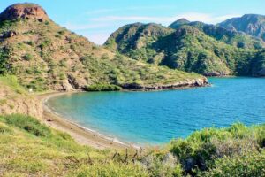 Danzante Island and Snorkel Tour from Villas del Palmar Hotel - The 9:00am plan: what the day looks like in real time