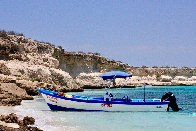 Danzante Island and Snorkel Tour from Villas del Palmar Hotel - Private beach time, lunch, and drinks: the part you’ll remember later