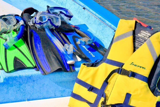 Danzante Island and Snorkel Tour from Villas del Palmar Hotel - The weather reality (and how to handle it)