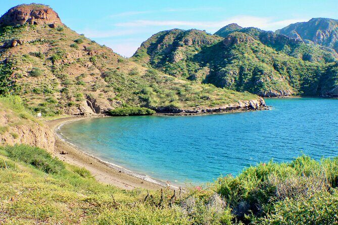 Danzante Island and Snorkel Tour from Villas del Palmar Hotel - The 9:00am plan: what the day looks like in real time